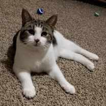 Thumbnail photo of Joseph #1