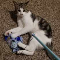 Thumbnail photo of Joseph #2