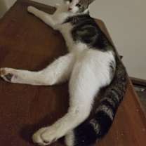 Thumbnail photo of Joseph #3