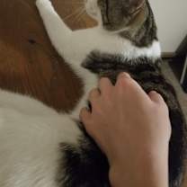 Thumbnail photo of Joseph #4