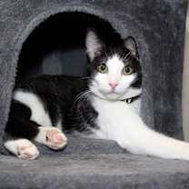 Thumbnail photo of Ziki #2