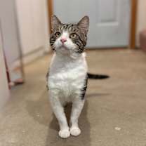 Thumbnail photo of Aegon #2