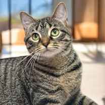 Thumbnail photo of Carol #2