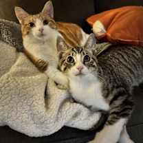 Thumbnail photo of EMILIO #2