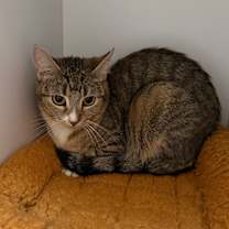 Thumbnail photo of Max #2