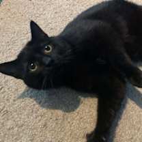 Thumbnail photo of Tiny #1