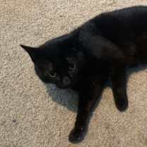 Thumbnail photo of Tiny #2