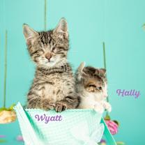 Thumbnail photo of Wyatt #2