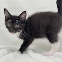 Thumbnail photo of Shawn #3