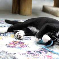 Thumbnail photo of Venice #3