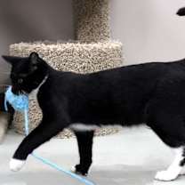 Thumbnail photo of Venice #4