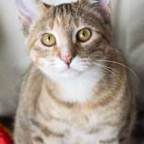 Thumbnail photo of Marjorie #1