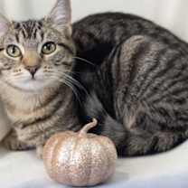 Thumbnail photo of Kate #1