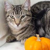 Thumbnail photo of Kate #3