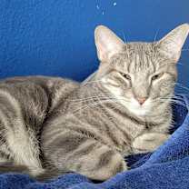 Thumbnail photo of Thyme #1