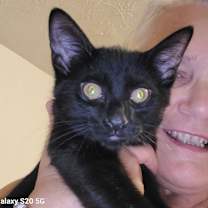 Thumbnail photo of Frankie #2