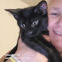 Thumbnail photo of Frankie #1