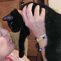 Thumbnail photo of Frankie #3