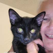 Thumbnail photo of Frankie #4