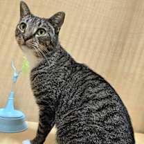 Thumbnail photo of Jack #1