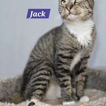 Thumbnail photo of Jack #2
