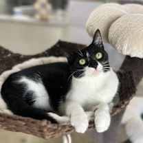 Thumbnail photo of Eden #1