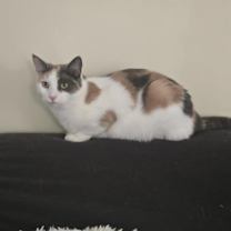 Thumbnail photo of Edina #2