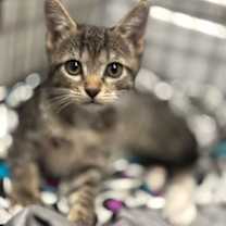 Thumbnail photo of Heather #2