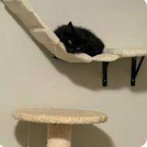 Thumbnail photo of Astrid #2