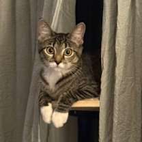 Thumbnail photo of Everly #4