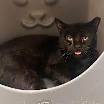 Thumbnail photo of Scrapyard #1