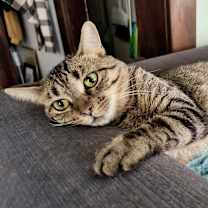 Thumbnail photo of Precious #1