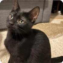 Thumbnail photo of Peter #2