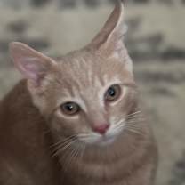 Thumbnail photo of Arthur #1