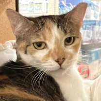 Thumbnail photo of Shirley #1