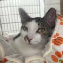 Thumbnail photo of Pudding #1