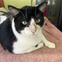 Thumbnail photo of MENINO #1