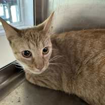 Thumbnail photo of Yuta #2