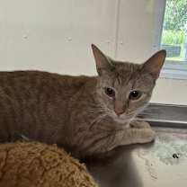 Thumbnail photo of Yuta #3