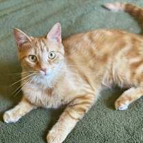 Thumbnail photo of Wyn #1