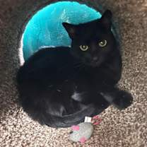 Thumbnail photo of Jenny #1