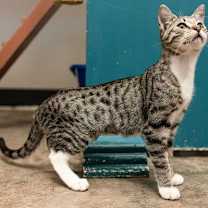 Thumbnail photo of Zion #3