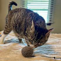 Thumbnail photo of Maeve #2