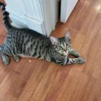 Thumbnail photo of Orbit #4