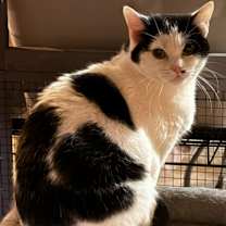 Thumbnail photo of Cindy #1