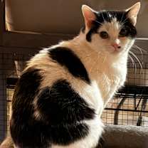 Thumbnail photo of Cindy #2