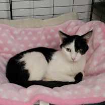 Thumbnail photo of Meadow  #3