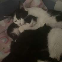 Thumbnail photo of Meadow  #4