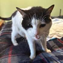 Thumbnail photo of ELLIE #2