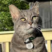 Thumbnail photo of Meeks #1